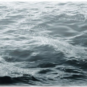 Meet your Posher, Jayne